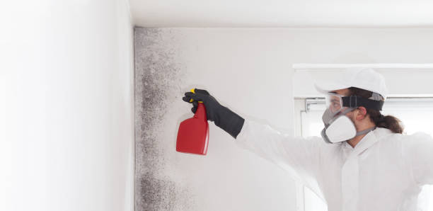 Best Mold Testing  in Logan, WV